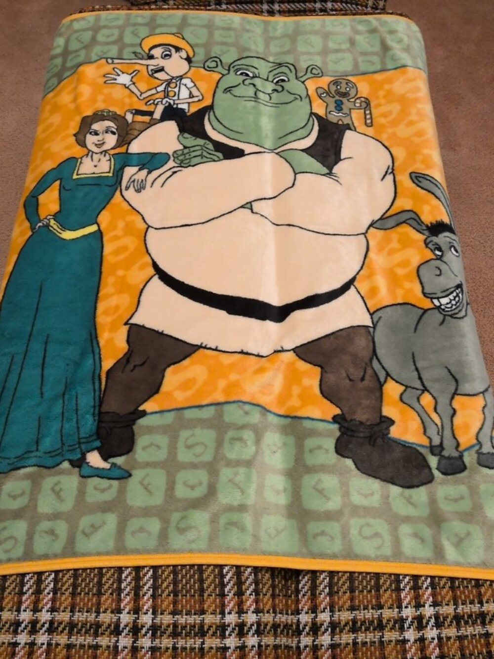 Vintage Dreamworks Shrek Throw Blanket Fleece